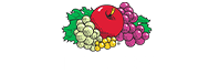 Fruit Of The Loom